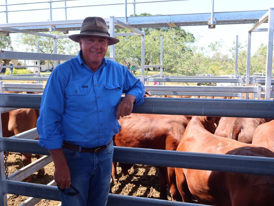 James Beauchamp of Beauchamp Enterprises, Maroon, with his champion pen of Santa Gertudis steers which sold for $1,800. Picture: Bartholomew and Co