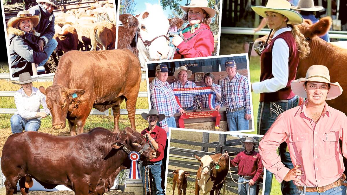 The Queensland Country Life's senior livestock journalist Billy Jupp caught up with some of the state's brightest young stud principals. 
