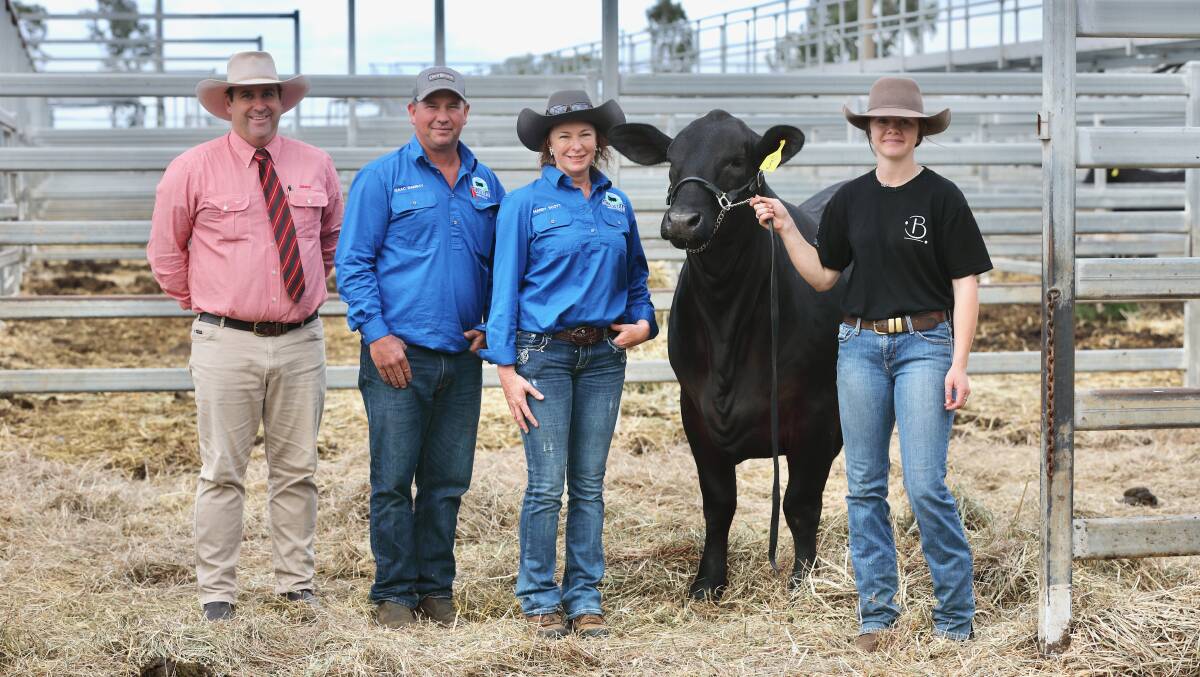 Auctioneer, Anthony Ball, Elders Stud Stock, with purchasers, Isaac Ramsey and Mandie Scott, Millstream Springs stud, Ravenhoe and Namoi Godfrey, Barronessa stud, Atherton with the $45,000 top selling female, Barronessa Aspen 820S1. Picture: Kent Ward 