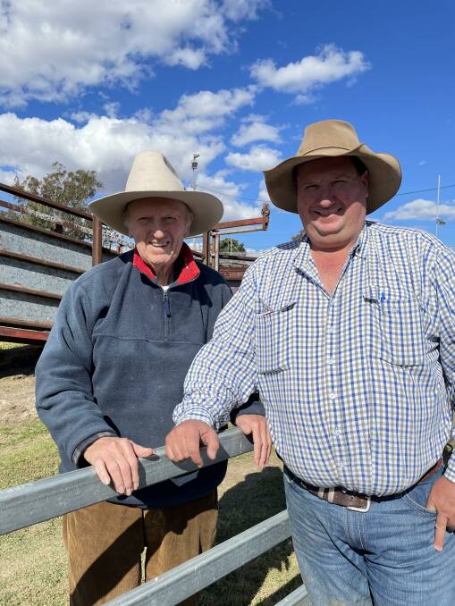 Father and son duo Bill and Angus Gross have been purchasing lamb at the weekly Warwick sheep sale for the past four decades. Photo: Billy Jupp 
