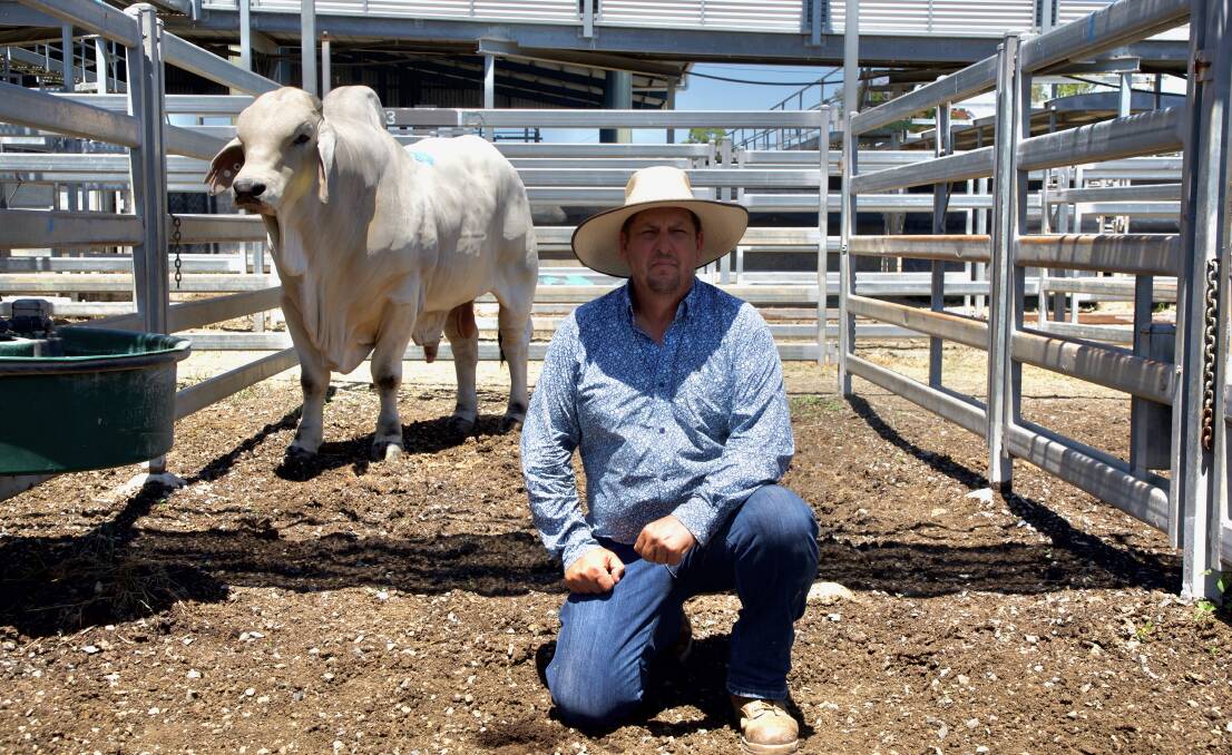 The top selling bull of the opening day of the 2023 February All Breeds Sale Dry Creek Next Level with vendor, Tony Zischke, Dry Creek stud, Windera. Picture by Kent Ward
