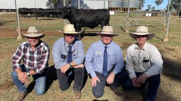 Buyer Paul Kipling, auctioneer Mark Duthie, GDL Dalby, GDL stud stock manager Harvey Weyman-Jones and vendor Andrew Raff with the top selling bull. Picture: Peter Lowe 