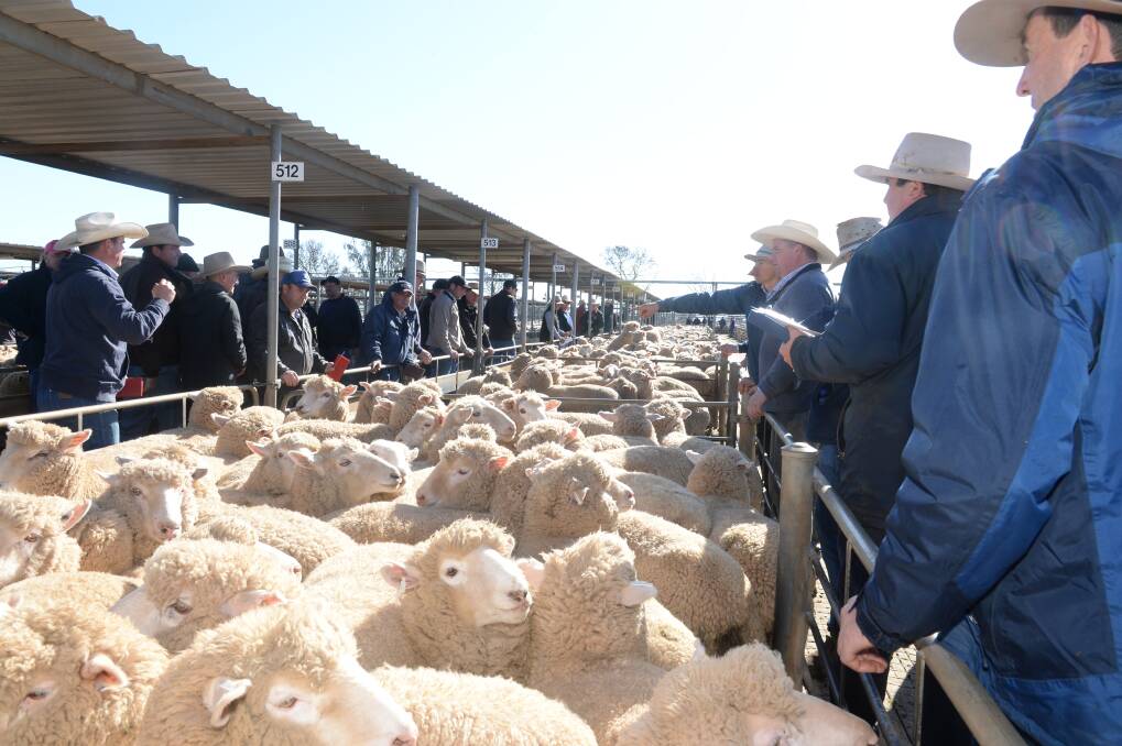 The MLA report found that Wagga Wagga was once again Australia's busiest saleyards in terms of throughput for the past financial year. Picture: File 