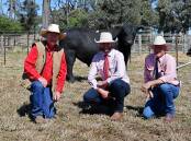 Vendor Jon Gaffney, Graneta Angus and Limousin stud and auctioneers Brendan Kelly, KellCo Rural and Cyril Close, TopX Roma, with the top-selling bull. Picture: Billy Jupp 