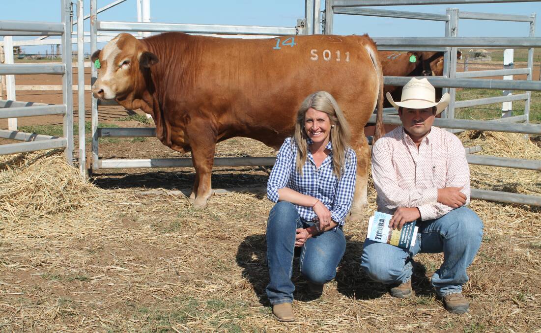 Sarah Truran, Savannah Simmentals and Simbrahs with Jack Howard, Burleigh Estates, Mountain View, Biloela who paid the $24,000 top money for Savannah S011. Picture by Peter Lowe. 