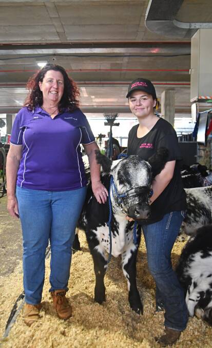 Pinnacle Park Speckle Park stud's Tania Paget and Fox Tail Speckle Park stud's Kate Hepburn with Kate's first stud heifer, Pinnacle Park Unique Symphony. Picture: Billy Jupp