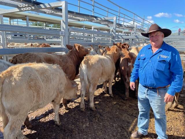 Vendor Brian Conroy, Mountain View Pastoral, Bryden, with his Charolais weaner heifers, which sold for $2000 a head and were named champion pen of heifers at the second Silverdale weaner sale on Saturday. Photo: Supplied 