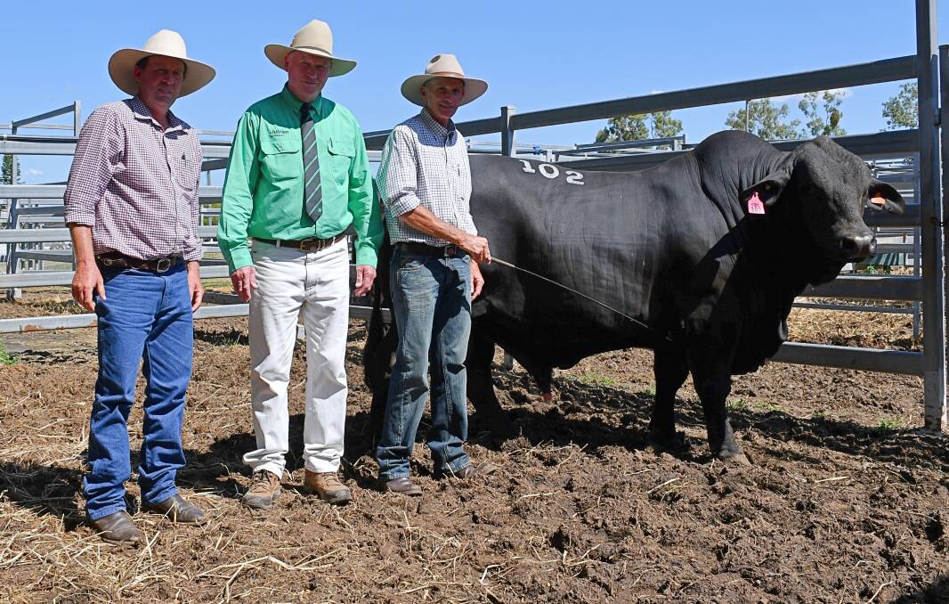 Buyer, Lawson Geddes, Couti-Outi Brangus stud, agent Julian Laver, Nutrien Stud Stock, Rockhampton, and vendor Yaraandoo stud principal John Collins with one of the two top selling bulls. Picture by Billy Jupp. 