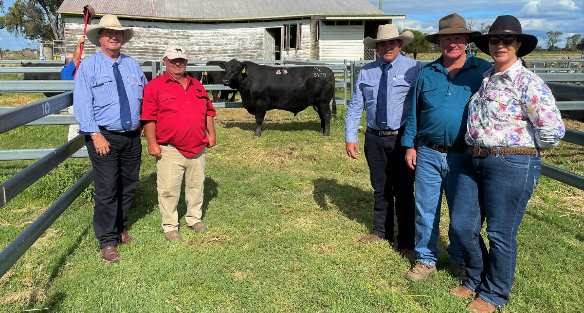 Auctioneer Peter Brazier, GDL, Dalby, vendor, Darren Hegarty, Carabar Angus, stock agent, Anthony Hyland, GDL, St George, buyers Shane and Tracey, Richters, Braeside, St George with the equal-top-priced bull, Carabar Saxon S178. Picture by Peter Lowe. 