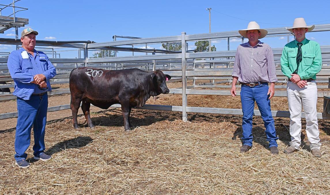 Buyer, Ian Lamb, Parraweena Cattle Company, Banana, vendor Lawson Geddes, Couti-Outi Brangus stud and Justin Rohde, Nutrien Stud Stock, Rockhampton with the top-selling female. Picture by Billy Jupp. 