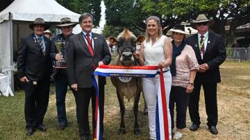 Wayne Bradshaw, Jefo Australia, owner Shane Paulger, RNA president David Thomas, owners Julia and Sharon Pulger and judge Kevin Smith with the supreme champion dairy cow. Picture: Billy Jupp 