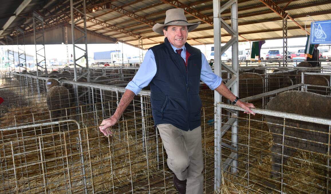 AgForce sheep and wool president Mike Pratt, Longreach, believes the industry could be on the cusp of a boom period. Photo: Billy Jupp 