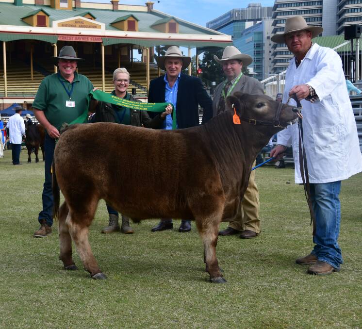 The couple cleaned up in the Ekka's led steer competition.