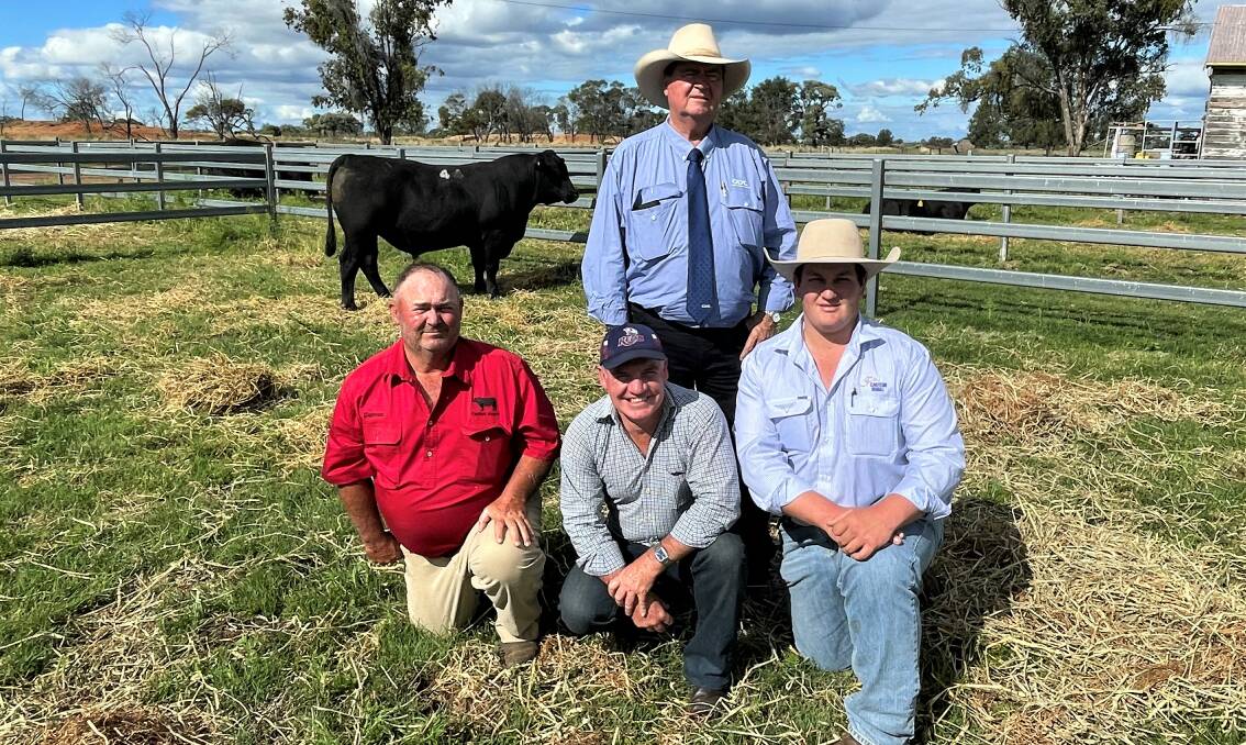 Vendor, Darren Hegarty, Carabar Angus, buyer Glenn Kelly, Kelly Farm Partnership, Keona, Bowenville, stock agent, Anthony Connellan, Eastern Rural, Dalby and auctioneer Peter Brazier, GDL, Dalby with the $28,000 equal-top price bull Carabar Stone S122. Picture by Peter Lowe.