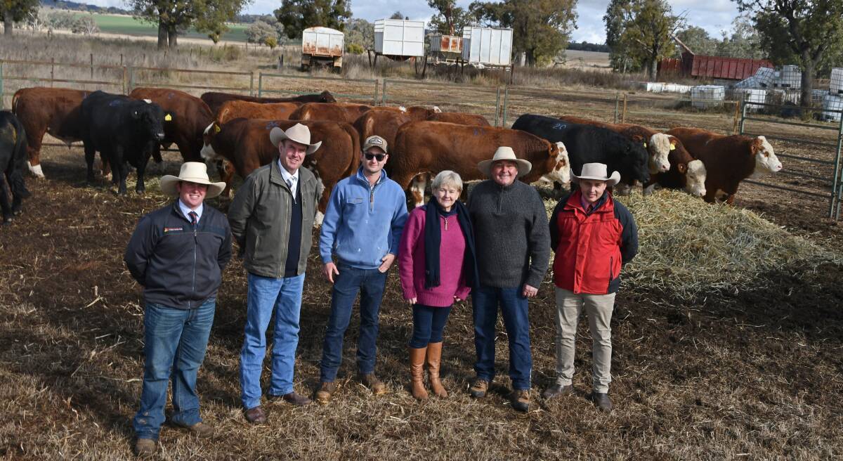 Davidson Cameron and Co stock agent Hamish Fauchon, Coonabarabran, auctioneer Paul Dooley, Tamworth, Barana Simmentals stud principals Campbell, Charmaine, and Peter Cook and Elders stud stock agent Lincoln McKinlay with the bulls. Photo: Billy Jupp 