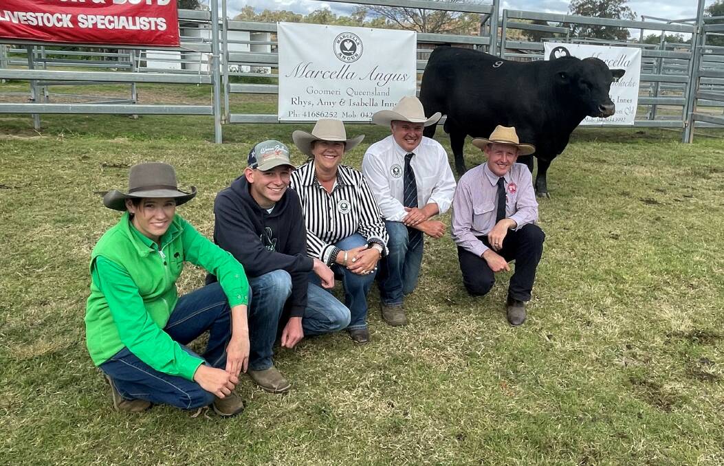 Mary and Cooper Downie, Moondah Family Trust, Moondah, Monto paid the $28,000 top money for Marcella Traction R381 with Marcella Angus principals Amy and Rhys Innes and auctioneer Jack Fogg of Shepherdson and Boyd. Picture by Peter Lowe