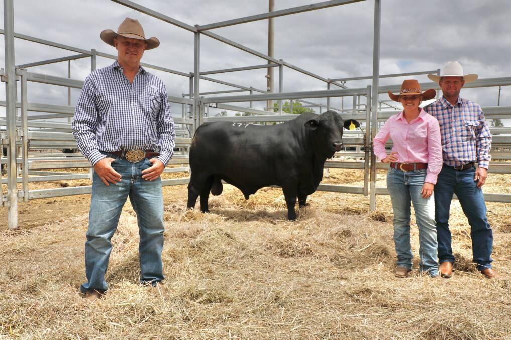 Top selling bull, the $110,000 Lunar Rhodes with breeder, Brad Comiskey, Lunar stud, Emerald and joint purchasers, Annalee Godwin, Black Label stud, Springsure and her father Sid Godwin, Tanderra, Springsure. Picture: Kent Ward