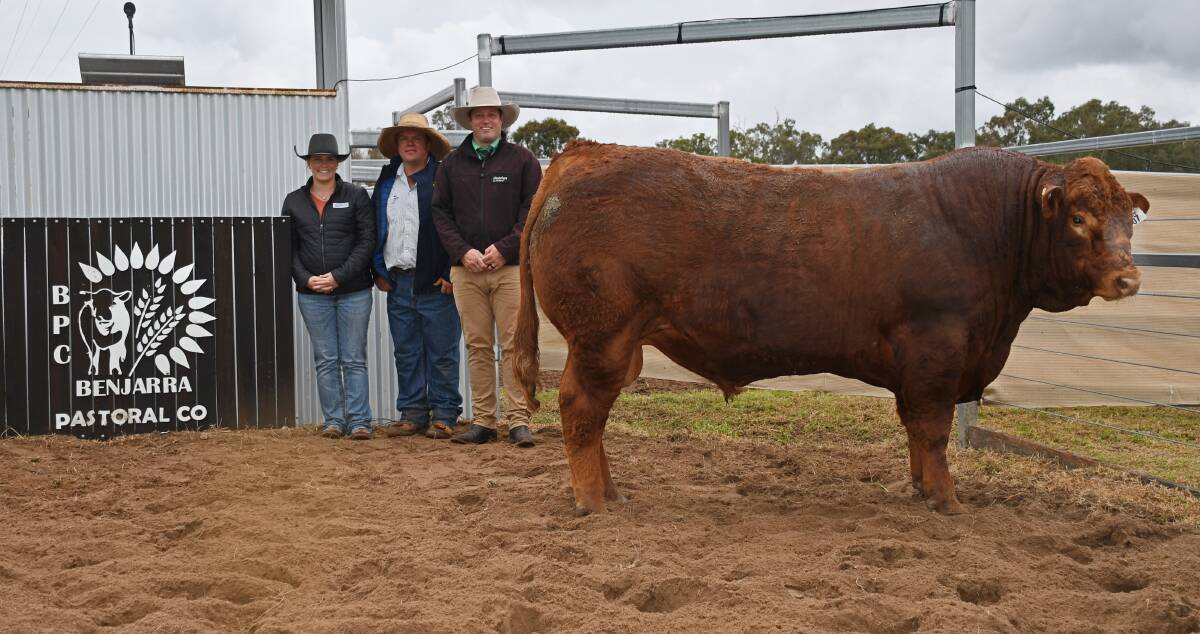 Buyer, Karly Crisp, Nine Mile Pty Ltd, Warialda, NSW, vendor, Benjarra Limousins stud principal Ben Passmore and stock agent, Andrew Costello, Nutrien Ag Solutions, Toowoomba, with the top-price bull. Picture by Billy Jupp 