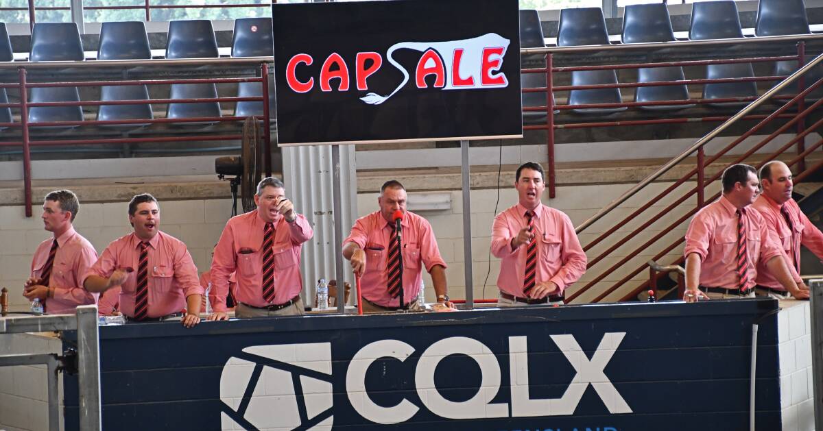 The Elders Stud Stock team look for a bid during Thursday's sale at CQLX Gracemere. Picture by Billy Jupp 