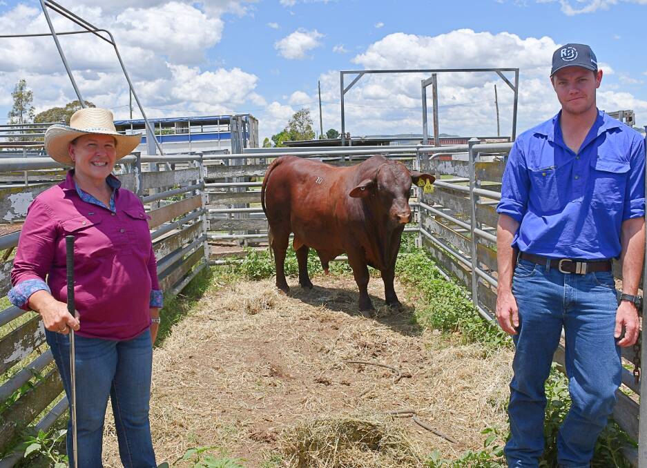 Rosevale Park stud principal Elizabeth Piggott and buyer Ben Traves, Highland Plains, with Rosevale Park Marshall S30, which Mr Traves bought for $4000. Picture: Billy Jupp