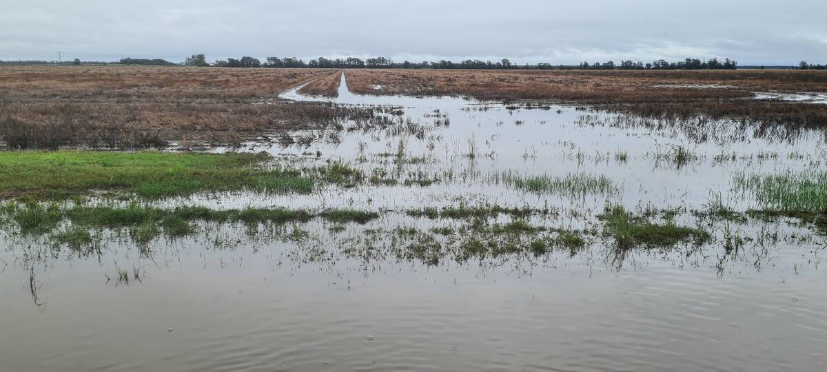 The impacts of recent flood events captured by Western Downs grower Brendan Taylor on his property in May. Photo: Brendan Taylor 