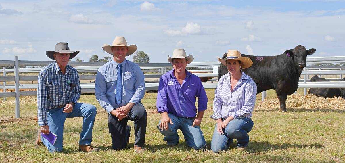 Buyer Wayne Maguire, Dingo, auctioneer Josh Heck, GDL Rockhampton and vendors Glen Waldron and Kim Groner, Elite Cattle Co, Meandarra, with the top price bull. Picture by Billy Jupp. 