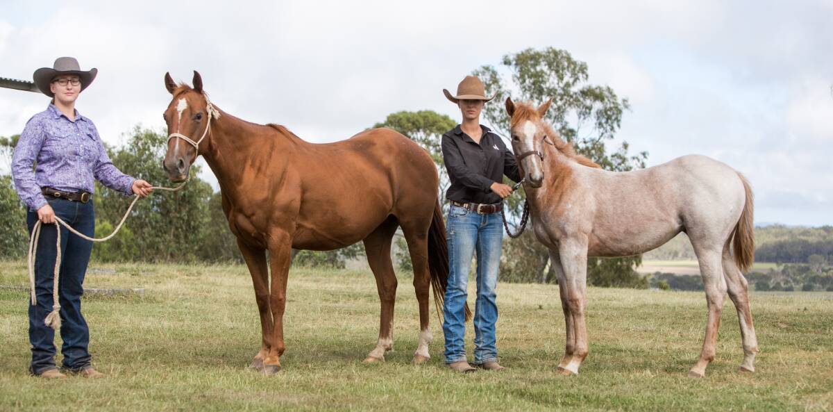 Annabelle Osbourne and Grace Brennin with broodmare Meerkat Mozart and her filly foal by Once In A Blue Boon, to be sold at the Toowoomba sale.