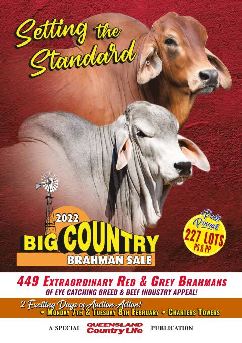 Read the full Big Country publication here.
