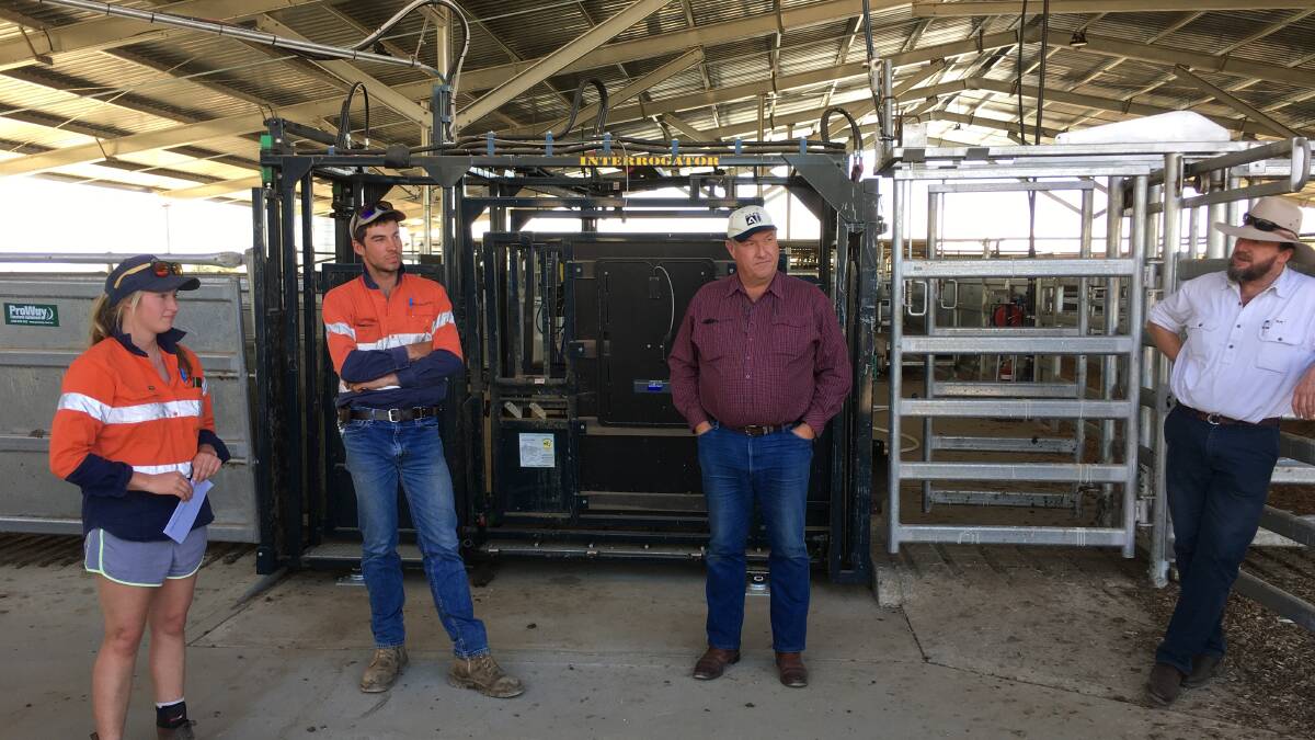 Princess Royal Staff showing the animal welfare officer training participants around the feedlot’s new facilities with presenters, Jeff House and Paul Cusack.
