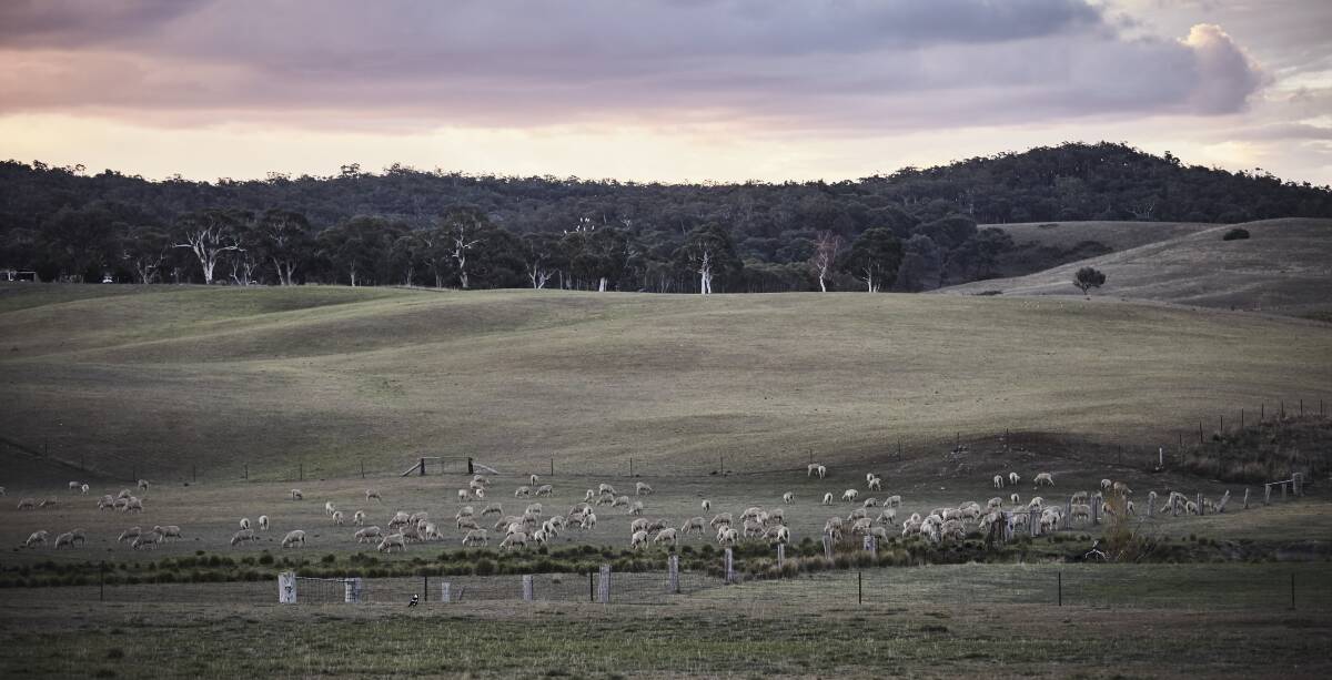 QUALITY FIBRE: AWI marketing activities are designed to showcase Australian wool and return value to levy payers by growing demand, locally and internationally.