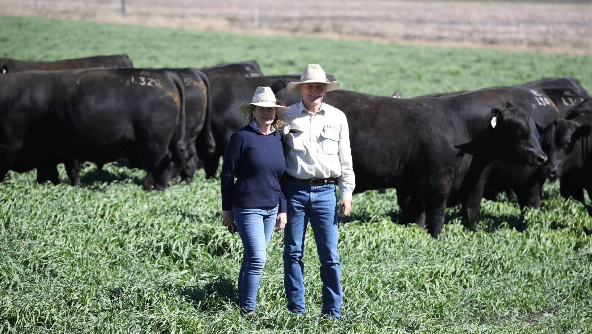 Ascot Charolais and Angus studs principals Jim and Jackie Wedge. Photos by Ben Simpson
