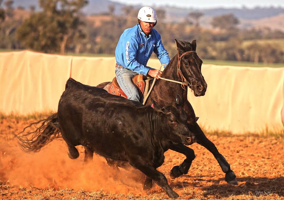 TOP TRAINER: Steven Hart on Velvet in the novice campdraft at Illabo last month. Photo: Jensol Photography