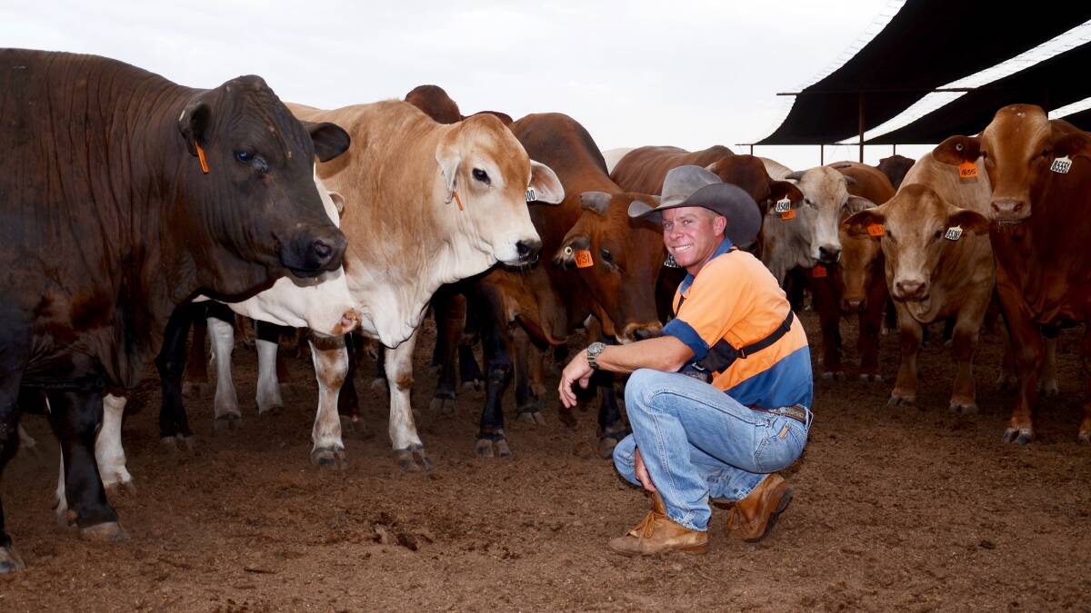 Teys Condamine livestock manager David Duncan.