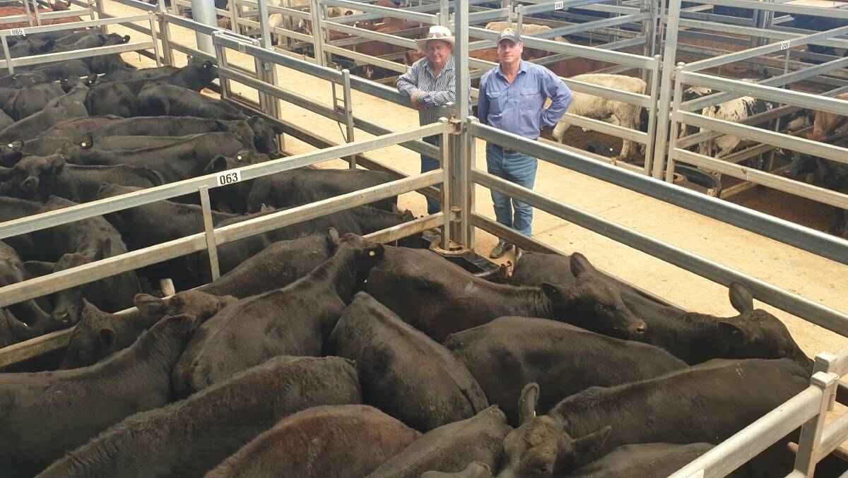 QUALITY GENETICS: Barry Green and John Carpenter, Carnegie, Niangala, with the champion pen of steers that made $1420 earlier this year. Photo: Michelle Mawhinney