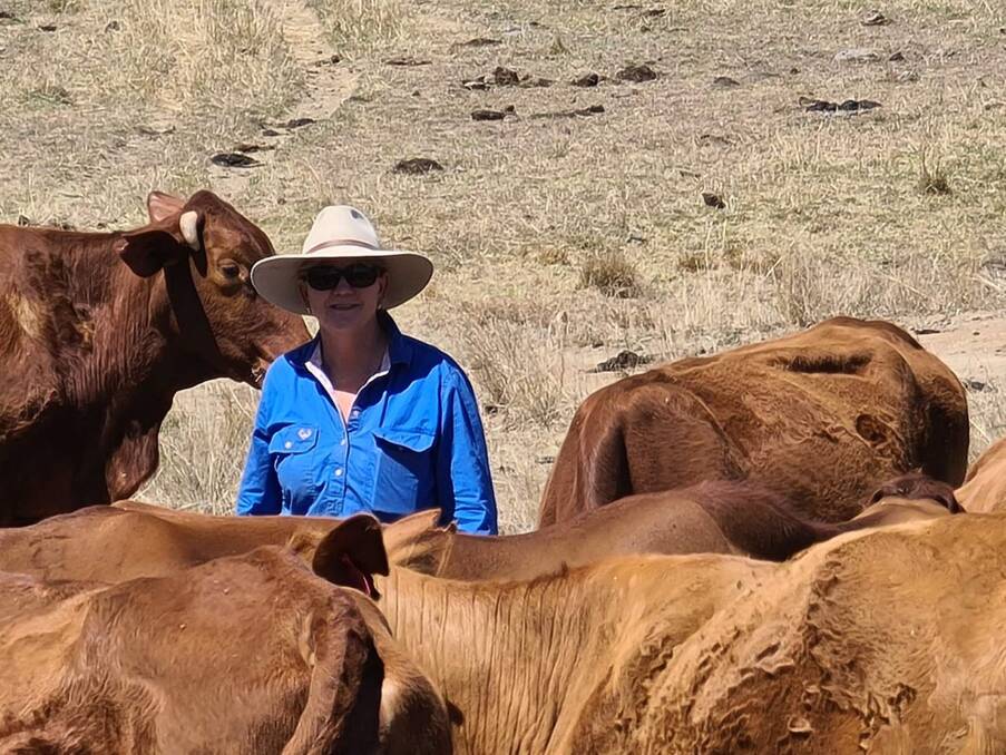 BOOST IN FERTILITY: Karen Hockey in her herd at Kolonga, Monto. She runs up to 500 breeders, and is in the process of rebuilding the herd. 
