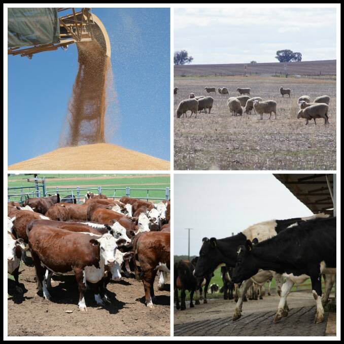 Mixed returns for Australian farmers in latest ABS Ag Census