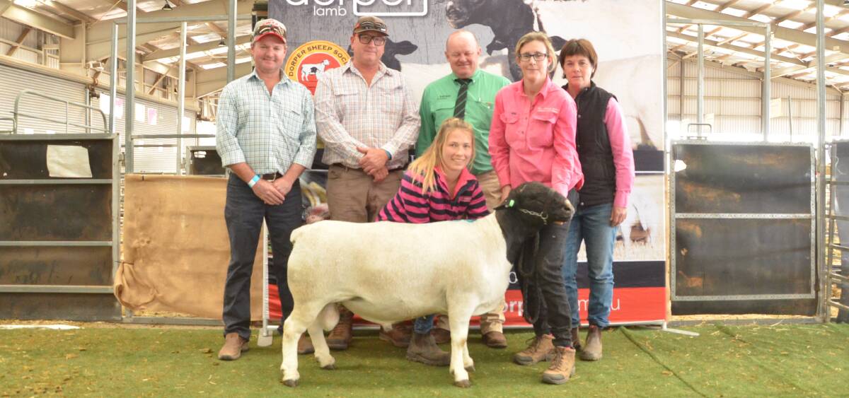 Reserve senior champion of the 2020 Dorper National Show for Dell Dorpers, Moama, sold for the world record Dorper ram price of $50,000 at Dubbo on Friday. Buyers Lance Reid and Grant Bredhauer of Darrawong Pastoral, Darrawong Station, Cunnumulla, Qld, were the buyers. Also pictured Nutrien Dubbo auctioneer John Settree, and Melanie Hibma, Andrea Vagg and Moozie van Niekerk, Dell stud, Moama.