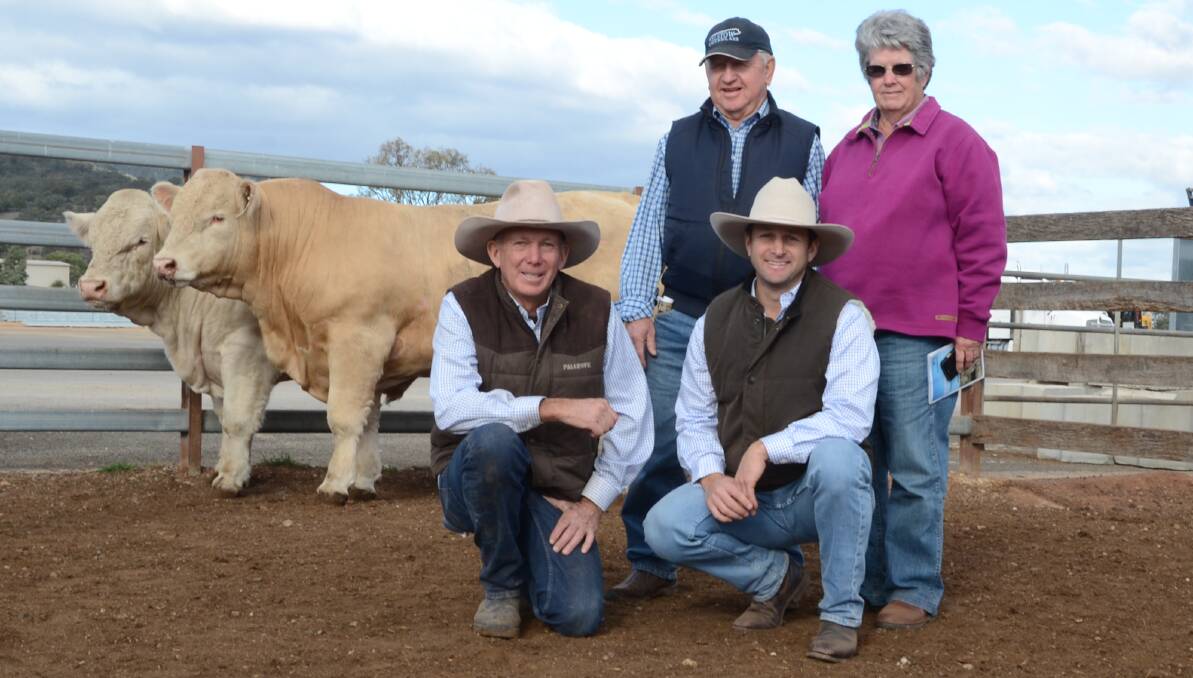 The $22,000 top-priced Palgrove Natural (P), sold to Elstow Charolais, Baradine, at the Palgrove Hunter Valley bull sale on Friday. Pictured are David Smith and Ben Noller of Palgrove stud with buyers Bruce and Margaret McConnaughty.