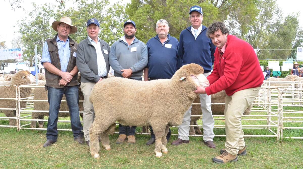 Second top priced horn ram at $9000 was purchased by Doug and Alastair Wilson, Myall, Lightning Ridge. Pictured is Haddon Rig stud manager Andy Maclean, principal, George Falkiner, buyers Alastair and Doug Wilson, guest auctioneer Paul Dooley, Tamworth, while Brett Smith, Elders, Walgett, holds the ram.