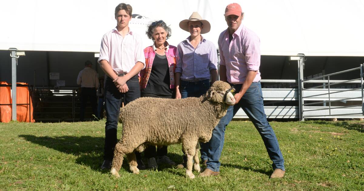 Arthur, Louise, Ruston and Chad Taylor with the $11,000 second top-price ram purchased by Martin and Cheryl Oppenheimer for their Petali Poll Merino stud, Walcha.