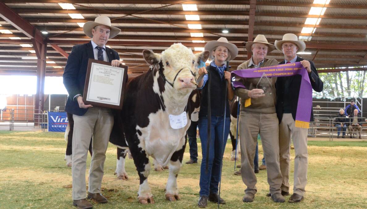 Intermediate and grand champion bull and winner of the Supermarket Index performance class, Rayleigh Nullabor pictured with Herefords Australia general manager Andrew Donoghue, Sarah Holcombe, Rayleigh stud, Burren Junction, Pat Pearce, Herefords Australia director, and judge, Steve Reid, Talbalba stud, Millmerran, Qld.