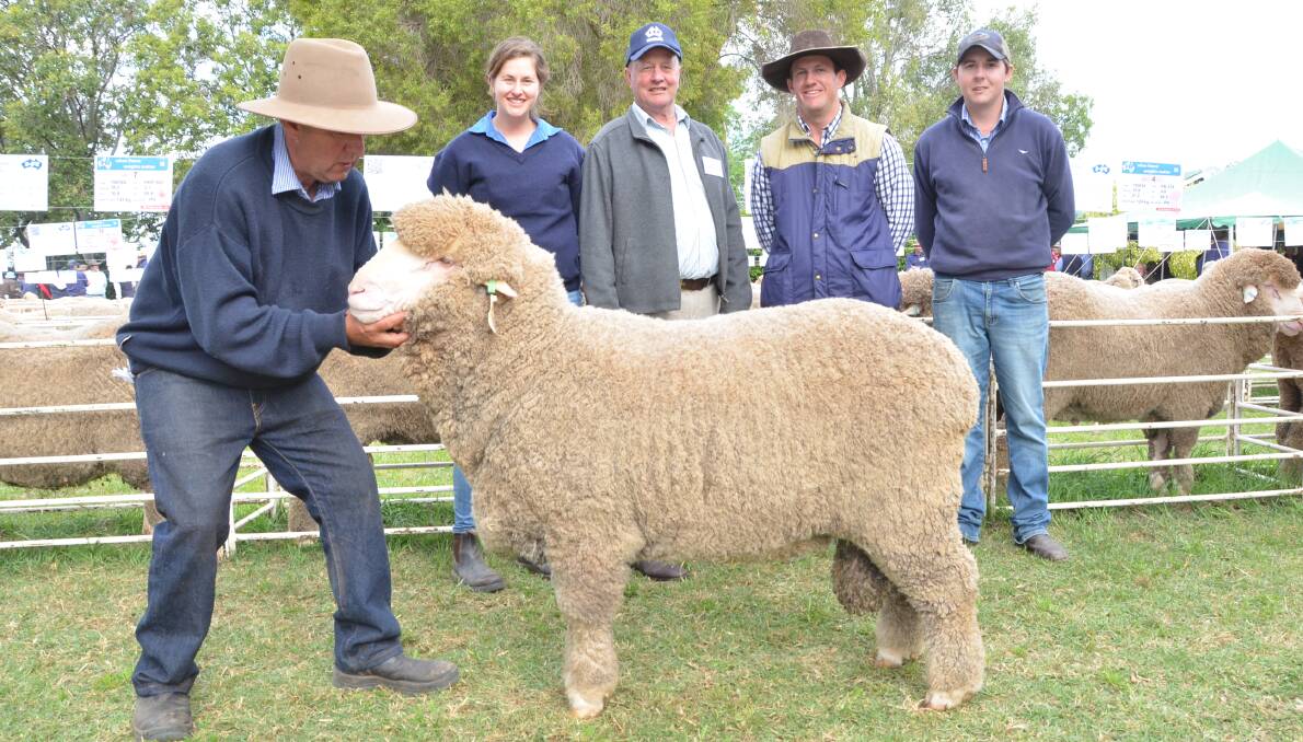 Tyrone Merinos, Gurley, paid $12,000 top-price poll ram at Haddon Rig Merino sale, Warren. Pictured is stud classer Stuart Murdoch holding the ram with Olivia and George Falkiner of Haddon Rig, with buyers Damien Meppen, Tyrone manager, and co-owner Angus Carrigan, Gurley.