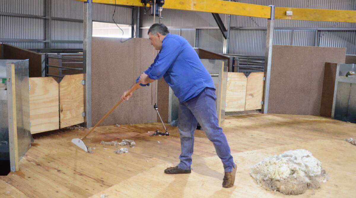 A flat shearing board has more advantages for wool handlers than a raised board. While safety is one major advantage, easy access to the workstation is also a big plus.