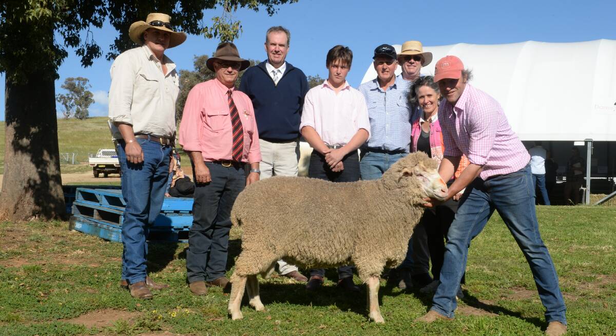Tim Mulholland returned to pay $14,000 for the top-priced ram held by Mumblebone stud principal, Chad Taylor. From left are stud manager Andrew Glover, Elders Dubbo Scott Thrift, auctioneer Paul Dooley, Tamworth, Arthur Taylor, Mumblebone, buyer Tim Mulholland, Operina, Moulamein, Mark Quartermain, Australian Wool Network, Ballarat, Vic, and Louise Taylor.
