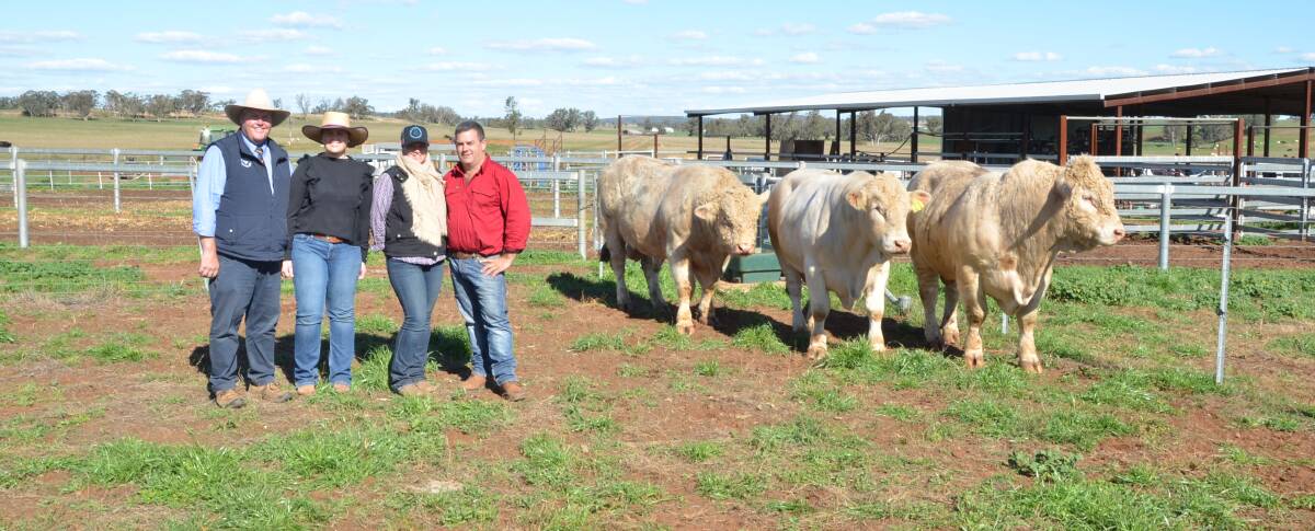 Patrick Purtle and daughter Grace, Gunnedah, with six Charolais bull buyers Bruce and Jo Russell, Grassbrook Pty Ltd, Manilla.