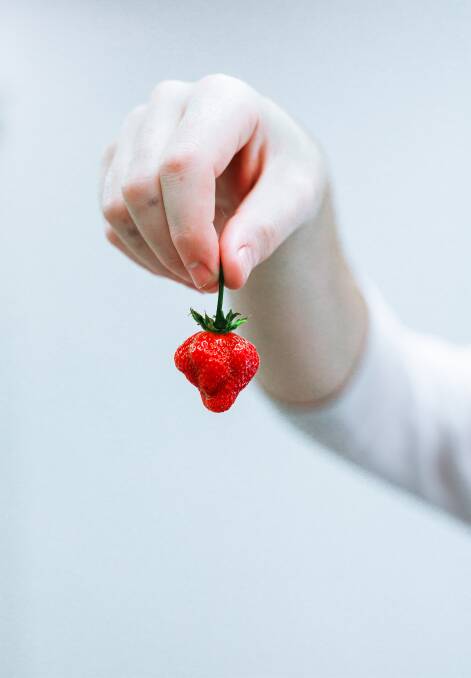 RIPE: A strawberry produced from within a modular farming system. 