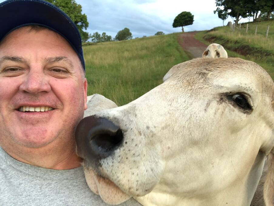 UP CLOSE: Gregg Davey, Starbra Brahmans, Gilldora, demonstrates the quiet temperament of his cattle with Lot 84, Starbra Miss Anastosic, who is happy to pose for a selfie. 