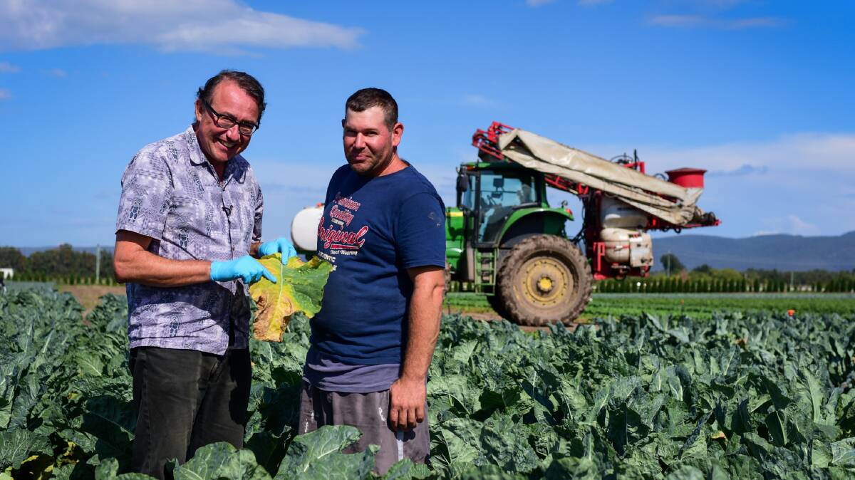 PRACTICAL: Plant pathologist, Dr Len Tesoriero, (left) with North Richmond, NSW, vegetable grower, Valentine Micallef, says that information to farmers must contain real-world solutions that are clearly demonstrated, not locked into endless theoretical piles of paper.