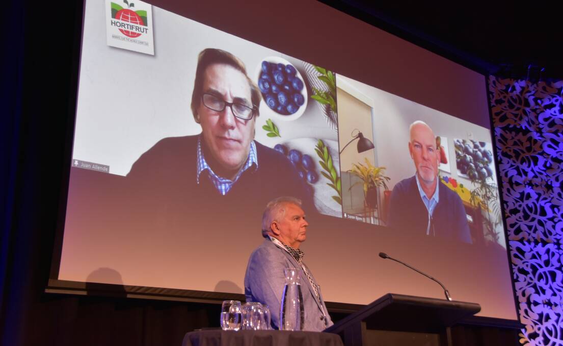 LIVE: HortiFruit SA chief executive officer Juan Allende, Chile (left on screen) and Driscoll's America president Soren Bjorn, US (right on screen), taking questions from the floor at BerryQuest International 2022, facilitated by Berries Australia chair, Peter McPherson. 