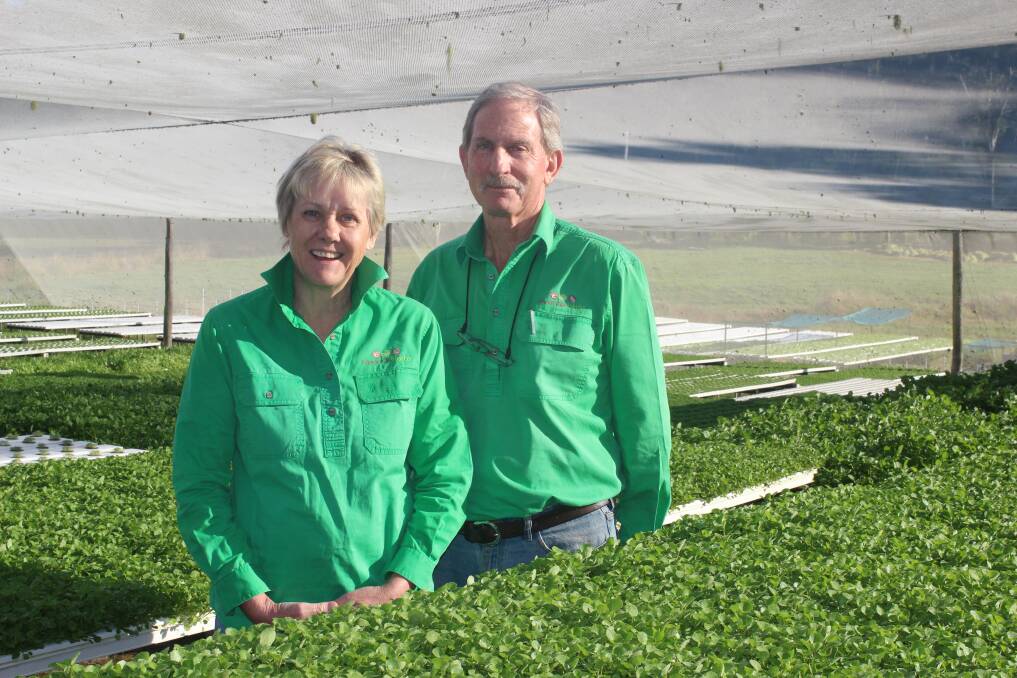 PIONEERS: Queensland producers, Mary-Jane and Cam Turner, Riverdale Herbs, are the first Fair Farms certified growers under the new program.